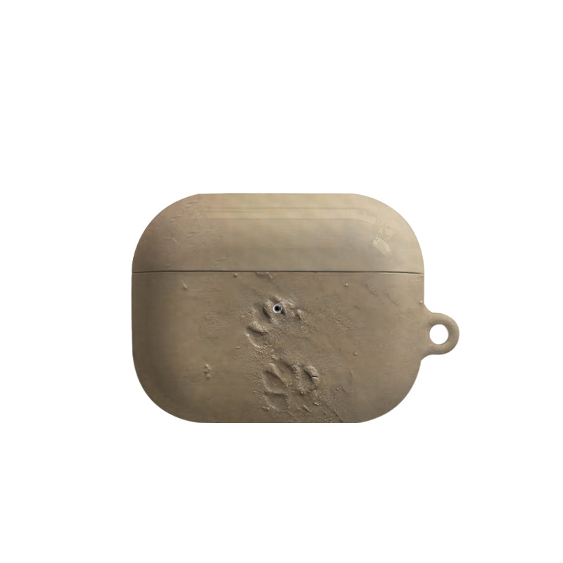 Beach Animal Footprints