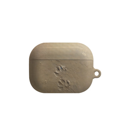 Beach Animal Footprints