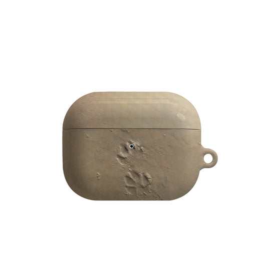 Beach Animal Footprints